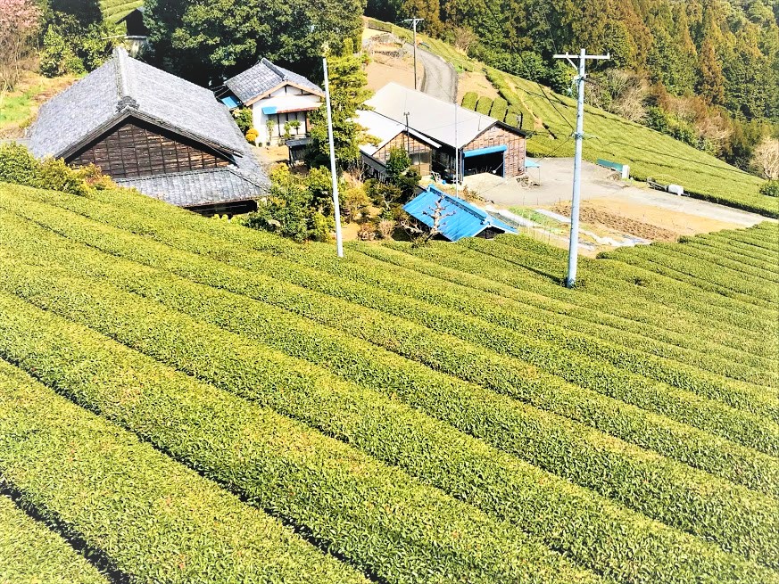 一般社団法人 地域振興交流協会